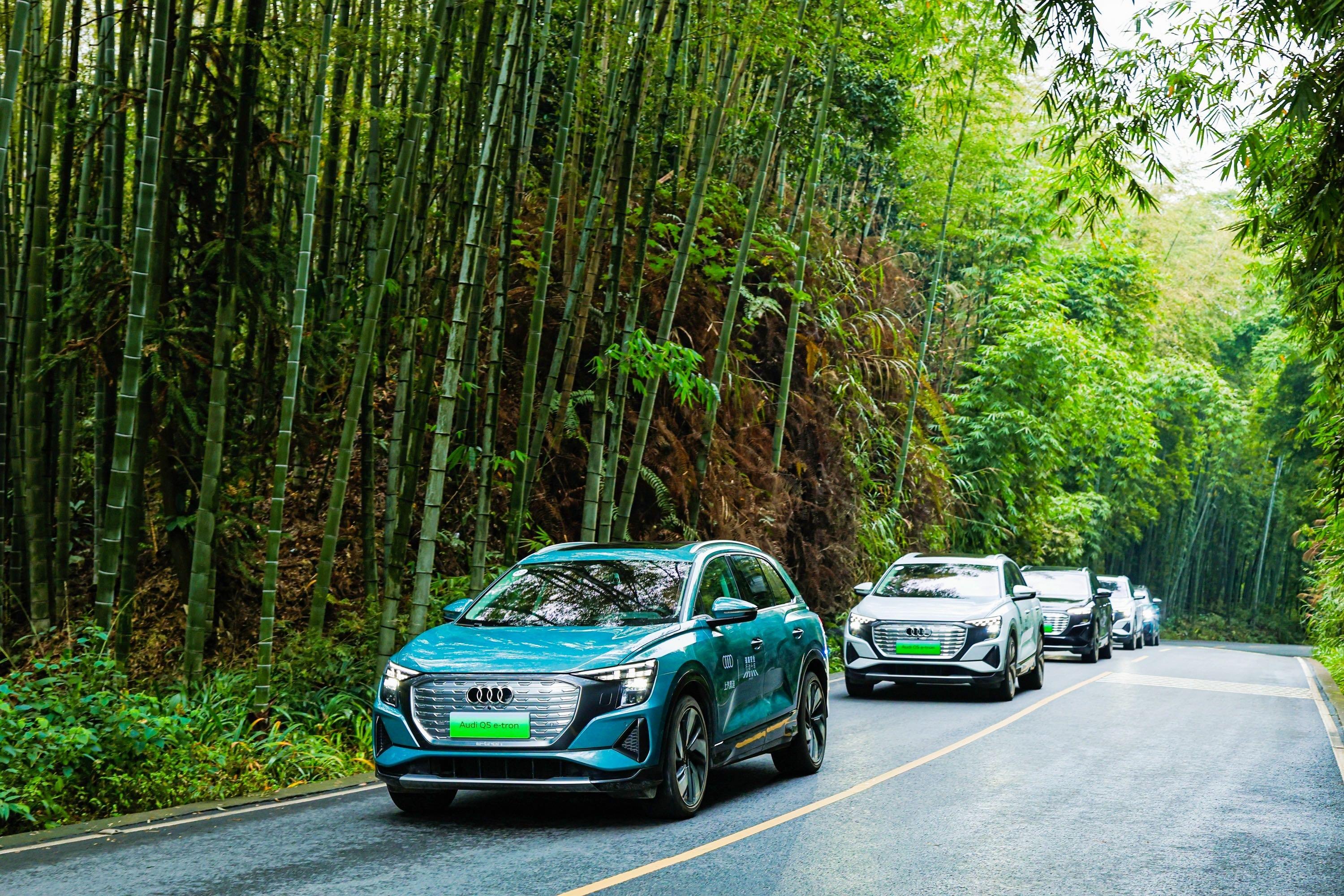 鐩婅鍏泭瀛靛寲,缁垮垱鏈潵