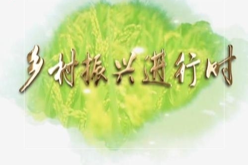 兴农易买：让优质农副产品走出大山、走进千家万户