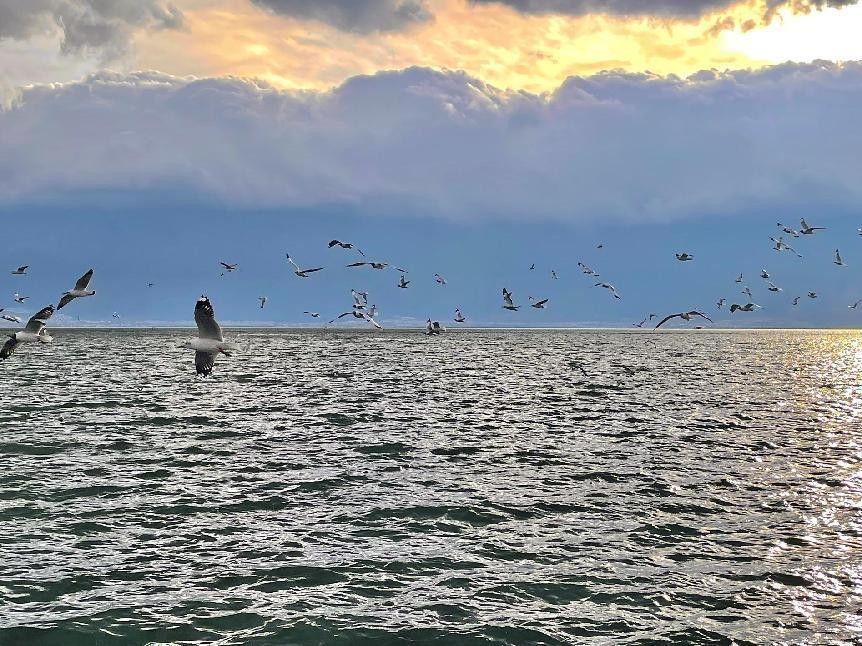 斯威大虎edi纯电能跑多少公里,斯威大虎edi有快冲吗