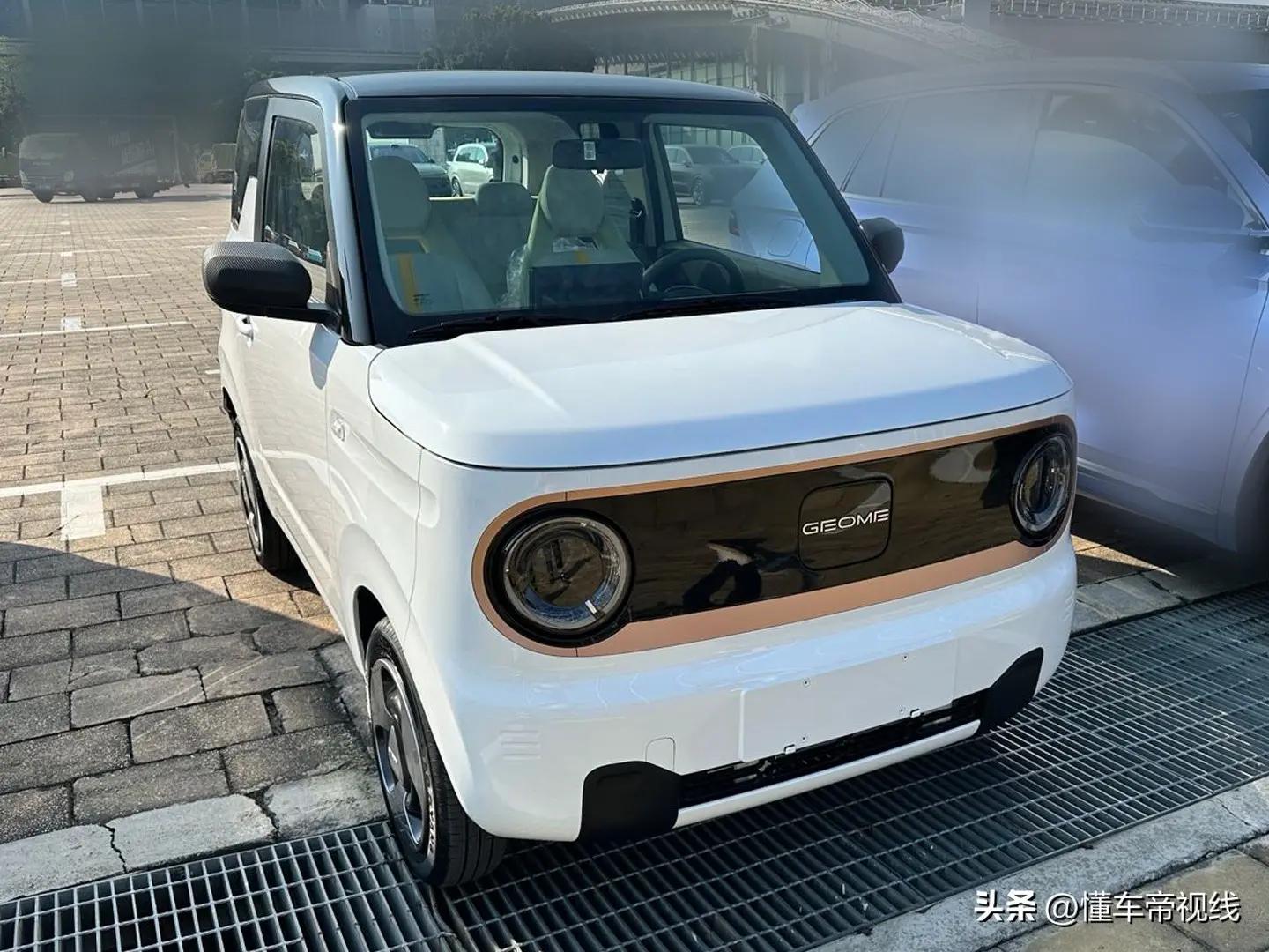 399万元起售吉利熊猫mini正式上市,吉利熊猫mini电动汽车会再降价吗
