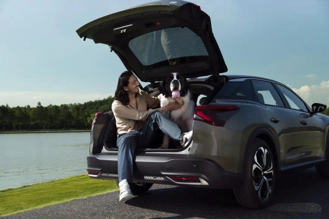 哪款轿车比凡尔赛c5x好,凡尔赛c5x哪款车值得买