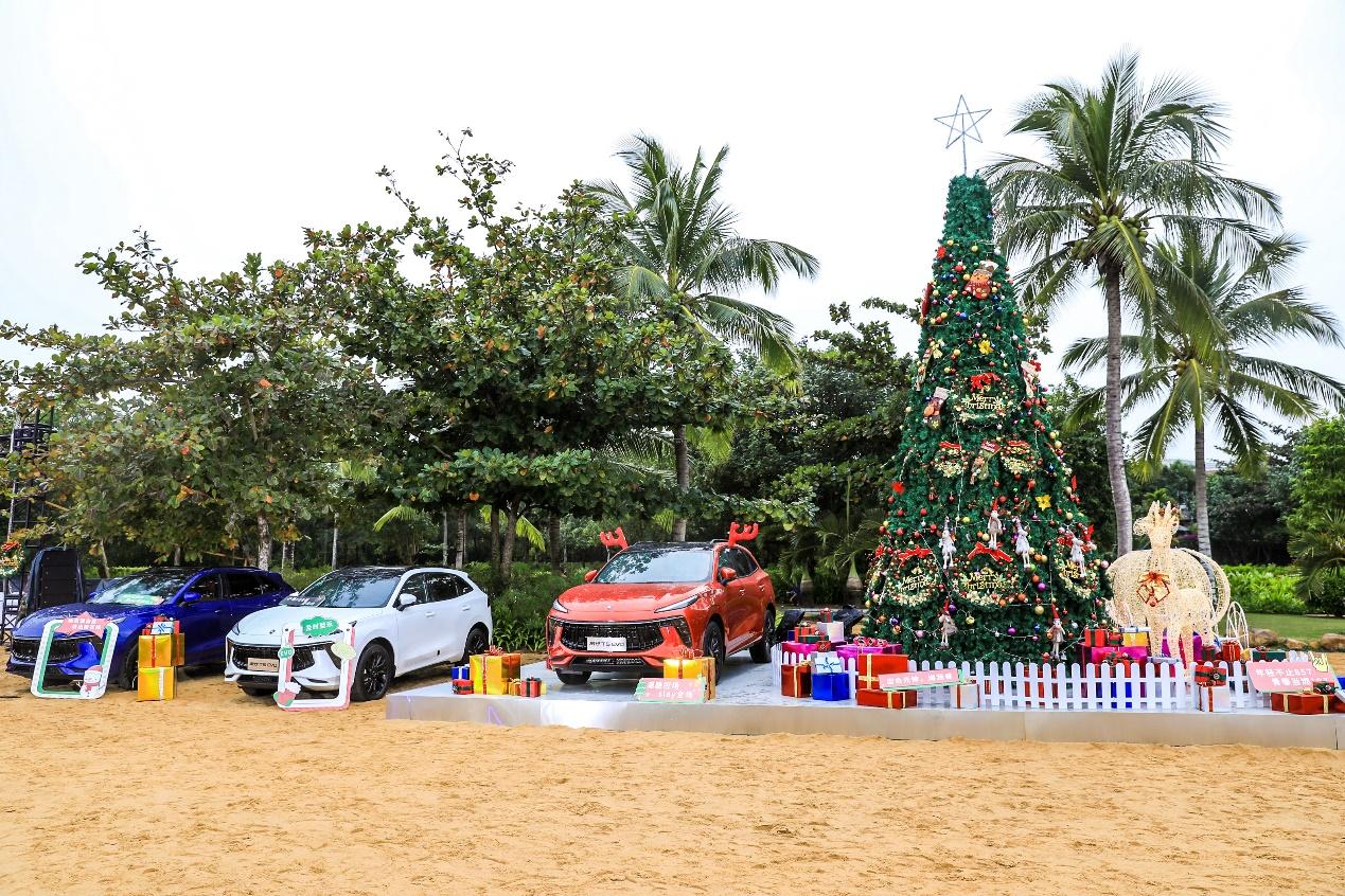 带着粉丝去三亚试驾、沙滩BBQ狂欢，东风风行这样的聚会请天天办