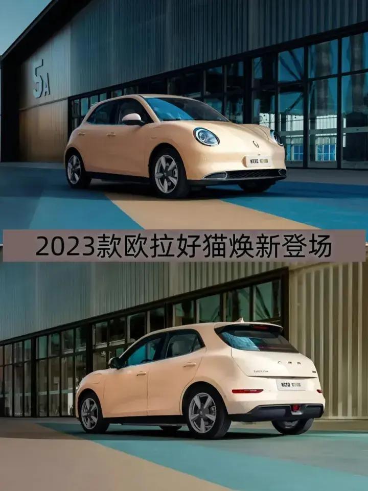 欧拉好猫2023款式图片,欧拉好猫2023款落地价