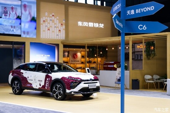 濡備綍鎷晳姹借溅甯傚満,姹借溅甯傚満鐨勭摱棰堟湡