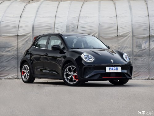 小姐姐的小猫咪,可爱的小野猫小姐姐