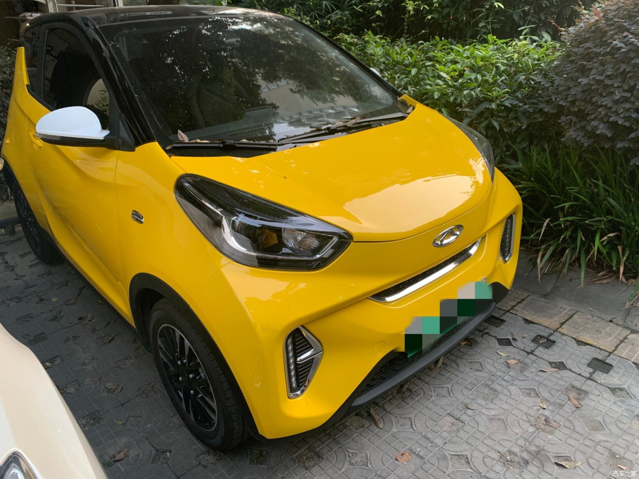 车友分享：性价比高，好开好看也有点小气的小蚂蚁