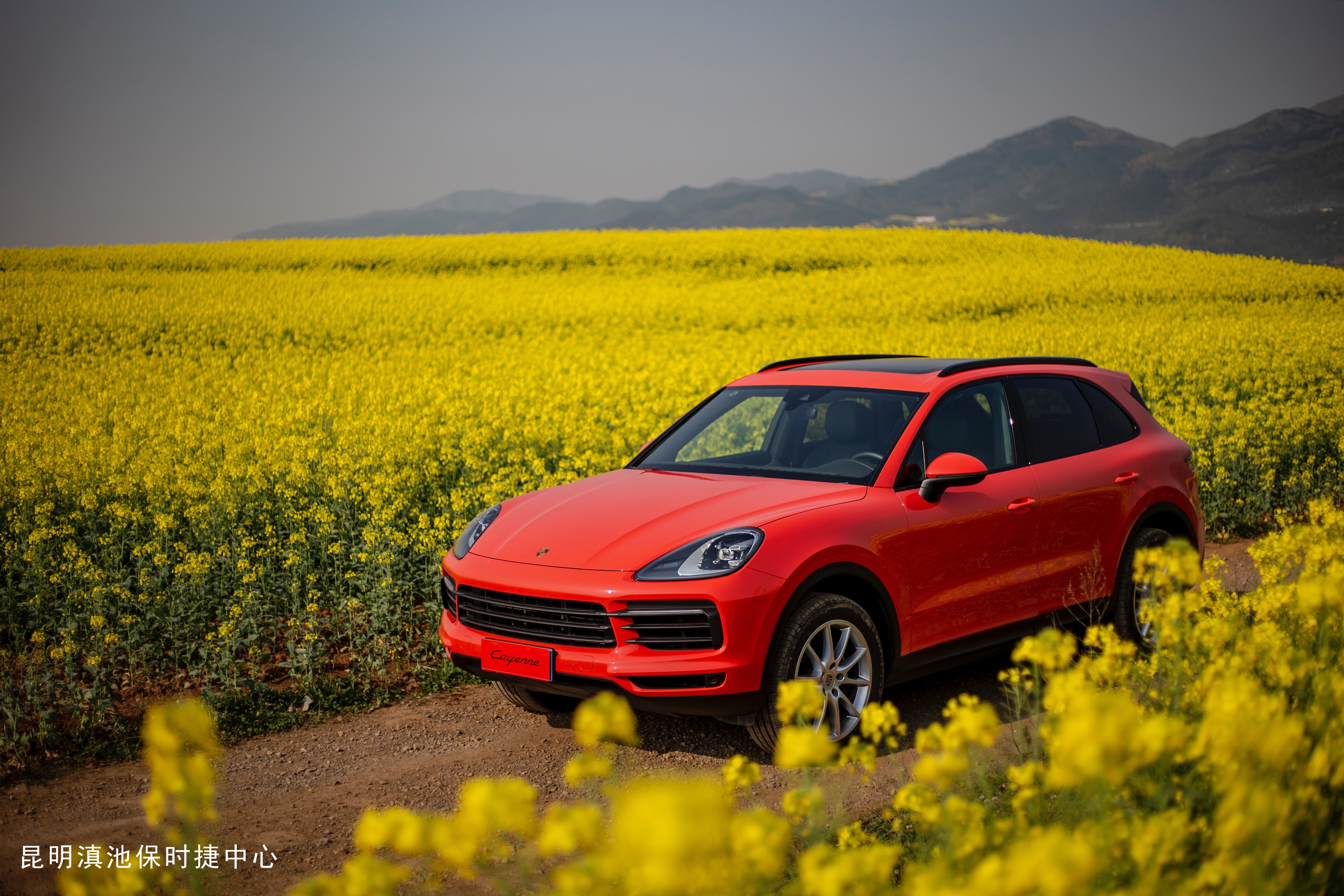 不止眼前的苟且还有诗和远方许巍,生活不止眼前的苟且许巍