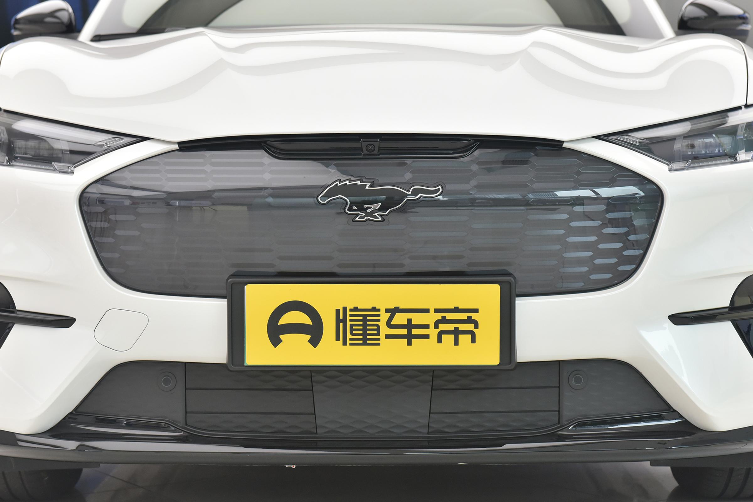 福特野马带马标志的suv,福特野马suv车系大全