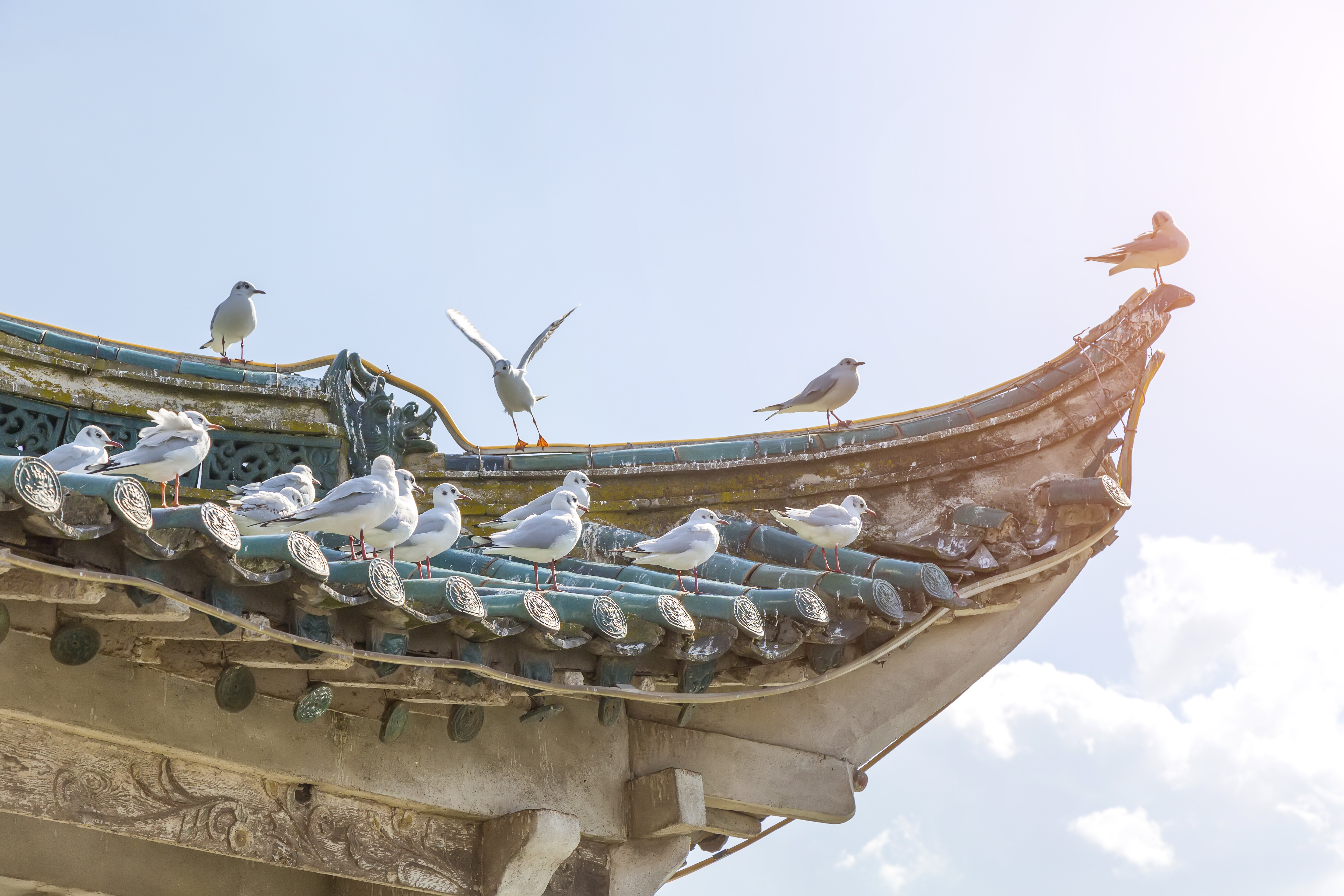 当上海本地人给你说“覅哇啦哇啦”，你就快闭上嘴巴吧