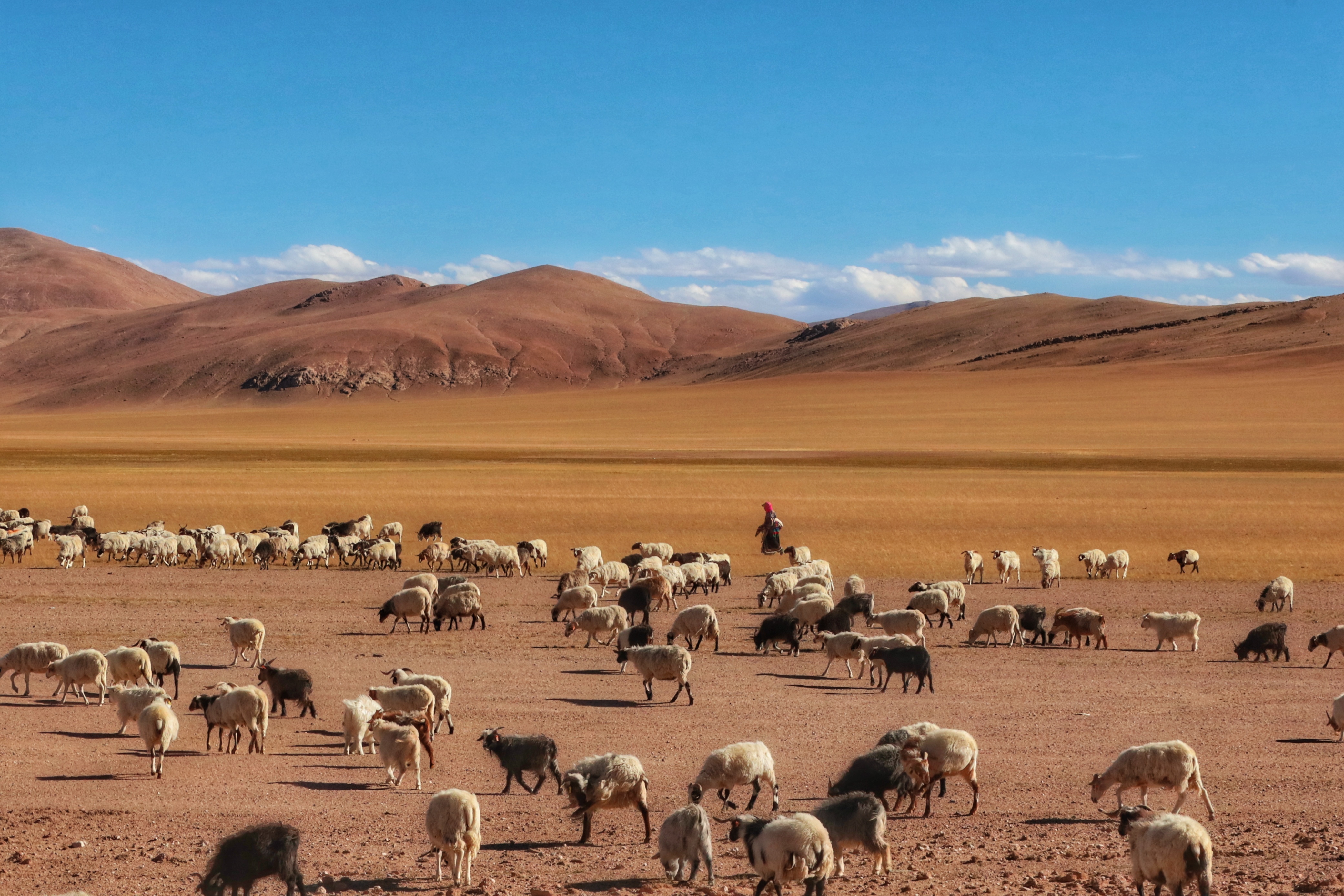 书籍各版本内容不一样,书籍不同版本的区别