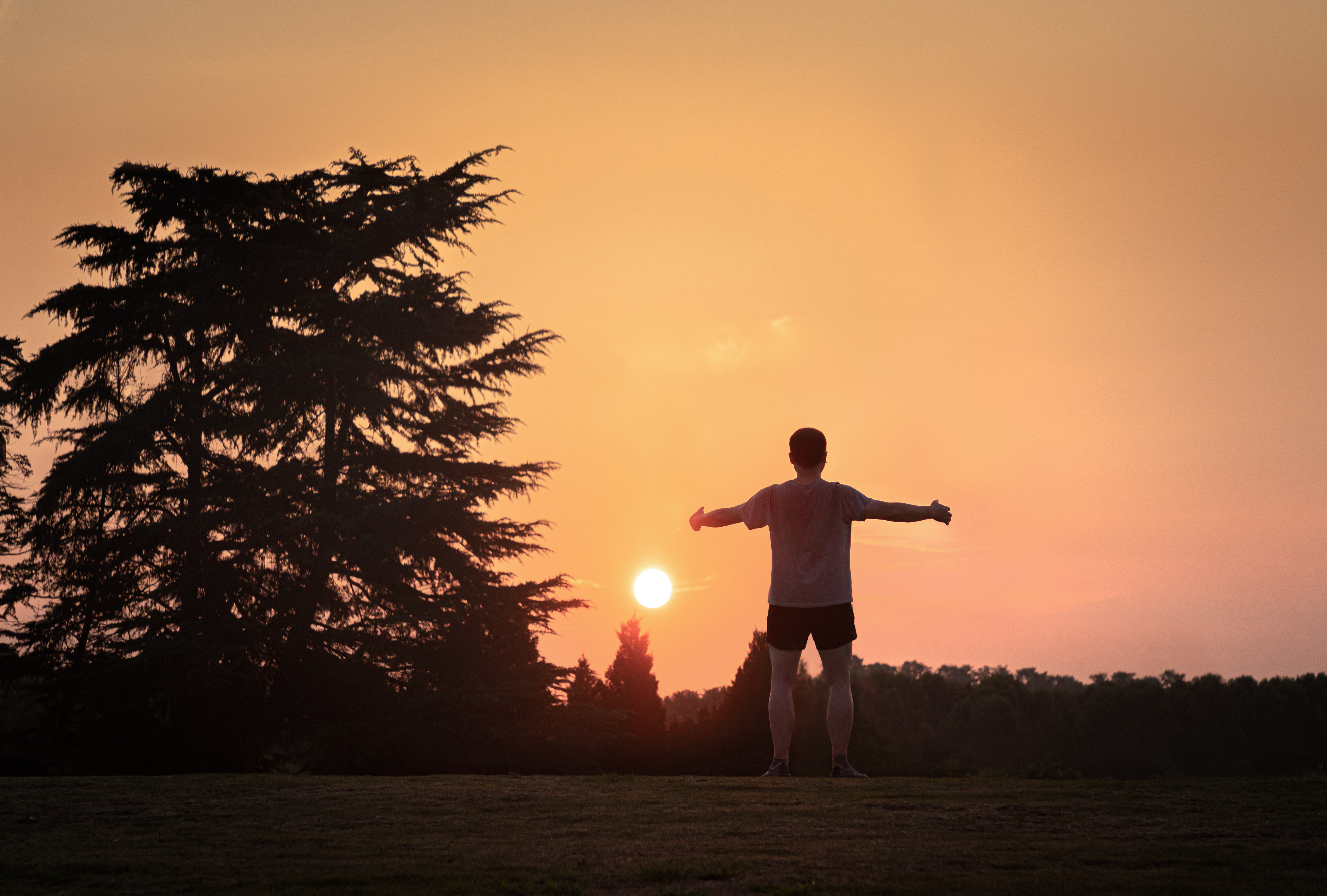 女性更年期吃什么调理更健康,更年期的健康与中医养生