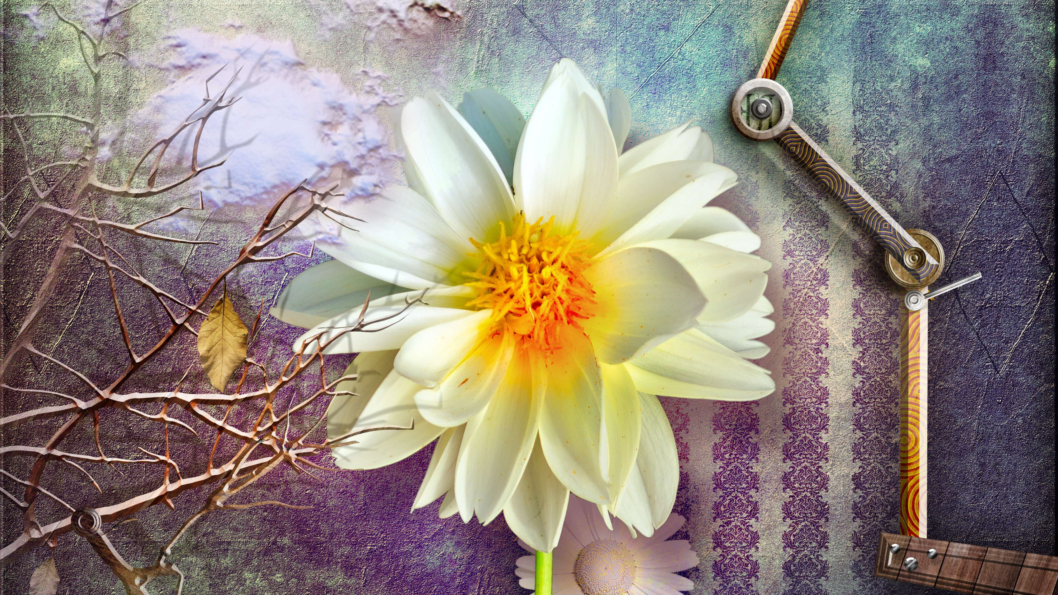 灏忚鐜嬪涓烘晳鐜嬬埛鍙椾激,灏忚鐜嬪涓烘晳鐜嬬埛閲嶄激