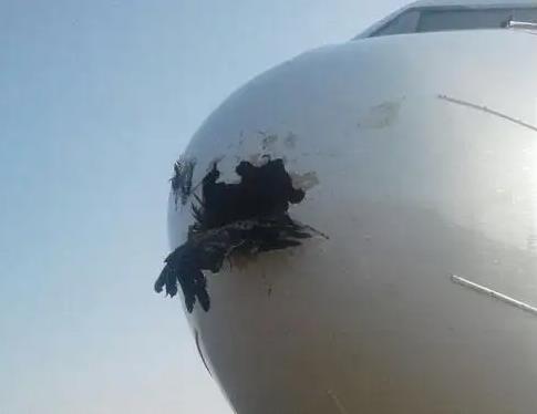 微生物的能力有多强,微生物在生活中神奇的应用