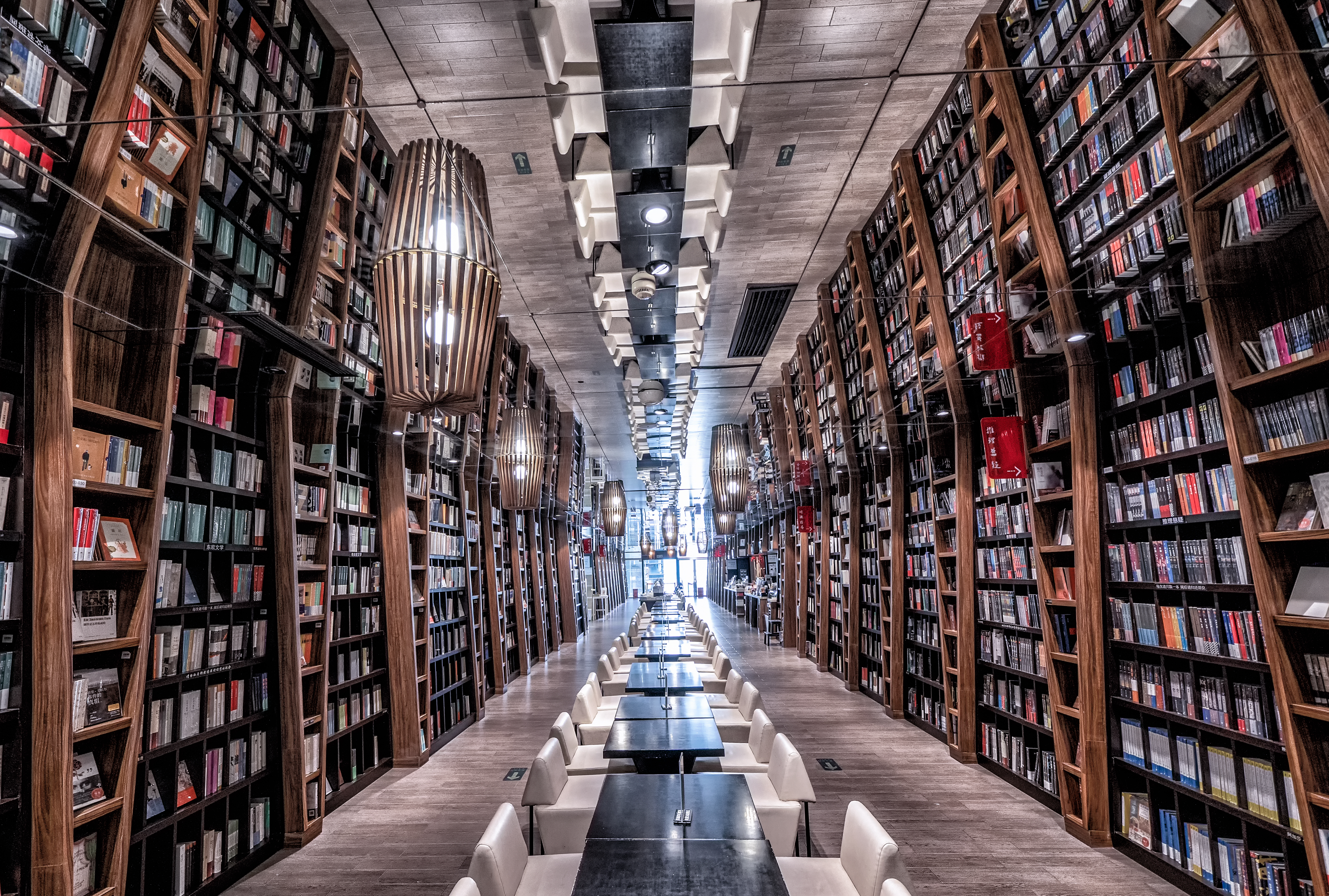 小说：少女被系统绑定，扔进守灵副本中求生，全程直播，吸粉无数