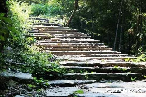 同心圆企业家联盟视频,企业家联盟2019