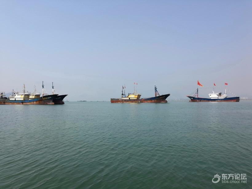 奉化海鲜自助餐有没有帝王蟹,奉化海鲜餐推荐