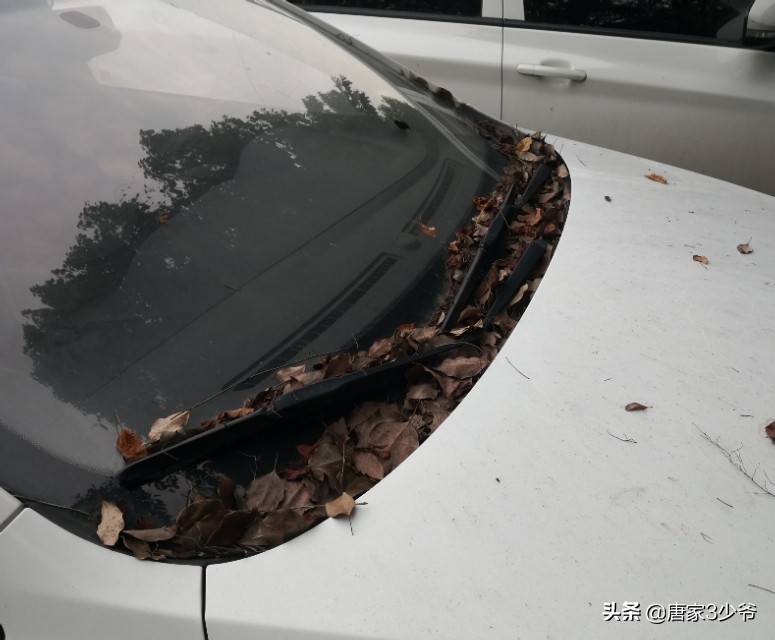 一场暴雨过后又积水,途观最新款天窗还会漏水吗