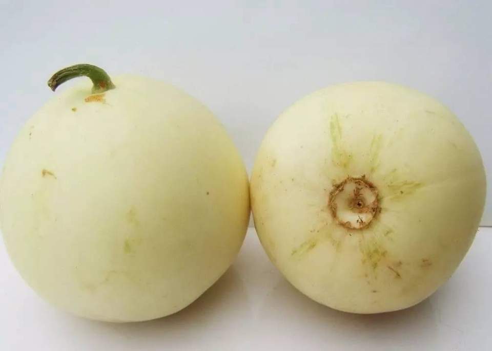 买的甜瓜不熟怎么办,甜瓜买什么样的好