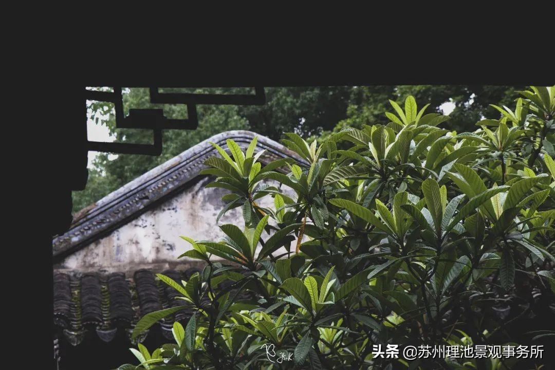 给我讲解一下拙政园的来历,拙政园最完整的讲解