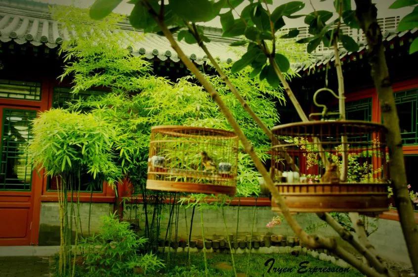 最美老院子,中国人的老院子