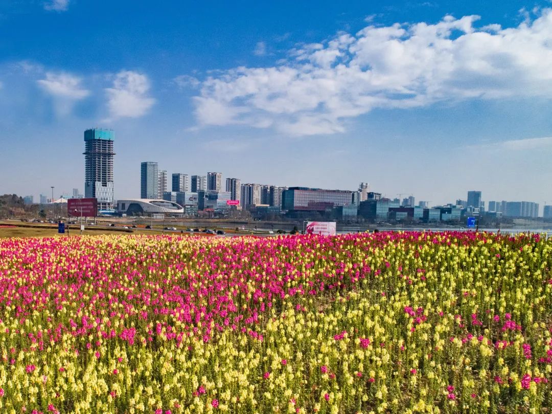 成都哪里的绿道最好,成都绿道最好的地方