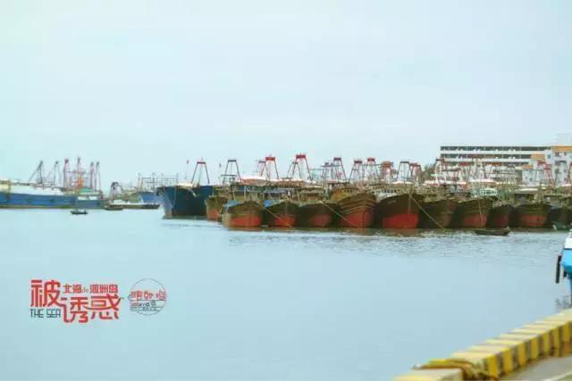 中国海岛最美的海边,中国最美十大海岛哪个最好玩