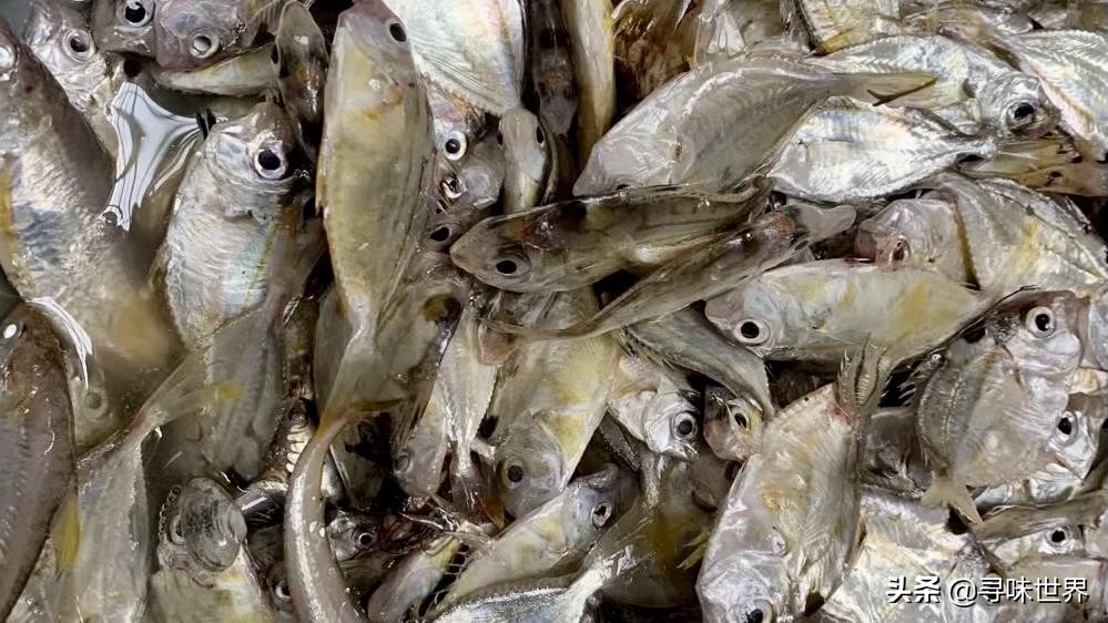 海鱼有哪些人工养殖不了的,不能人工养殖的海鱼市场上有哪些