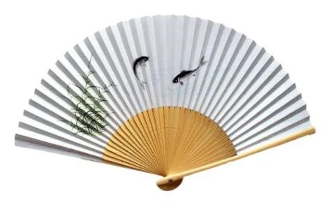 2023年亚洲杯足球场图,苏州承办2023年亚洲杯的球场