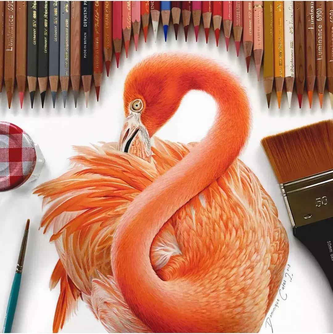 彩铅如何画得非常细腻,彩铅画的很好看零基础