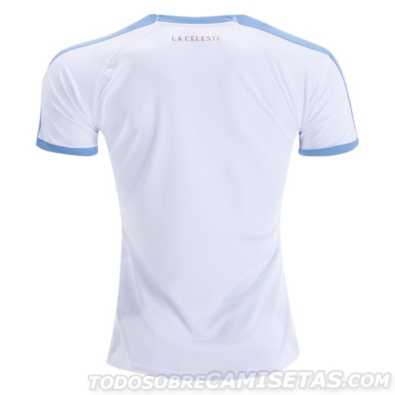 2019美洲杯国家队巴西球衣,2019年美洲杯参赛国家