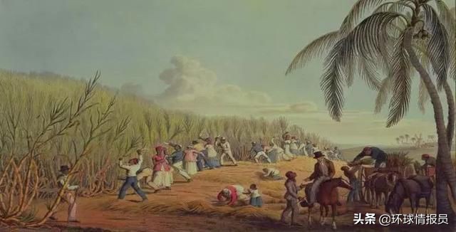 圭亚那属于拉丁美洲国家吗,圭亚那是南美唯一不独立的国家吗