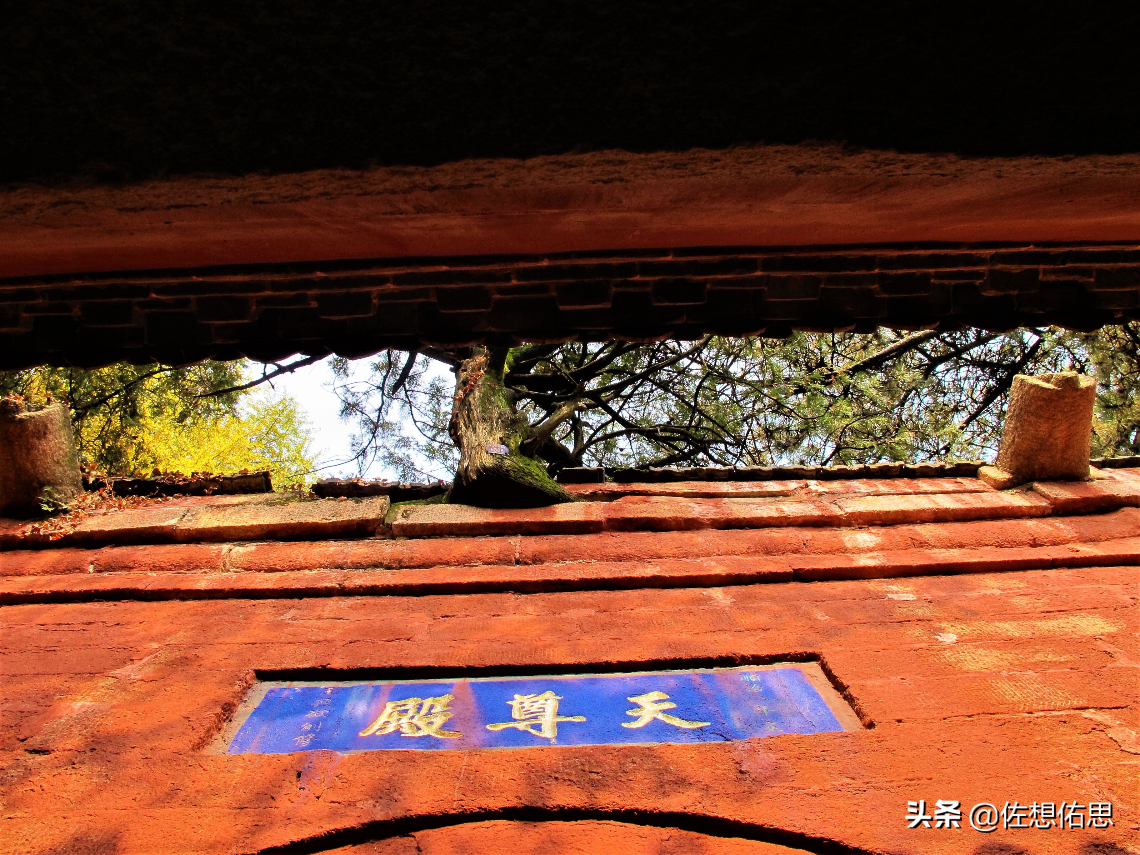 泰安扇子崖免门票吗,扇子崖门票多少钱