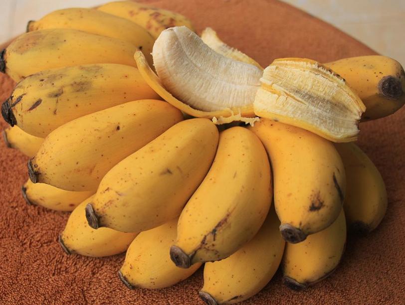 泰国著名的水果有哪些,泰国出名水果十大特产