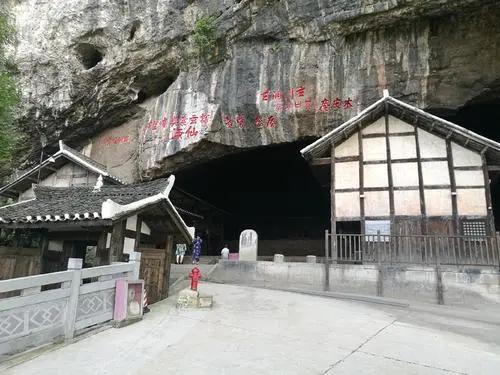 杨虎城被关押电视剧,杨虎城被囚禁后所生女儿