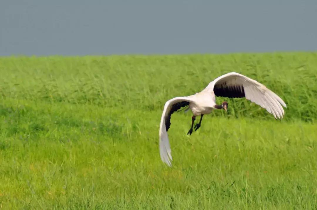 几个闺蜜自驾游的视频,一群闺蜜旅行视频