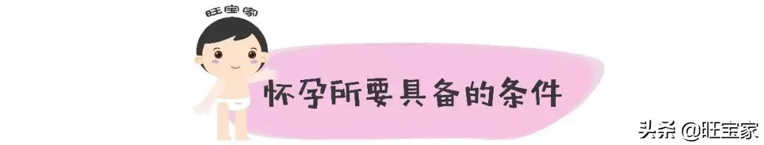 怀孕没那么神秘，所以这么多人才着迷