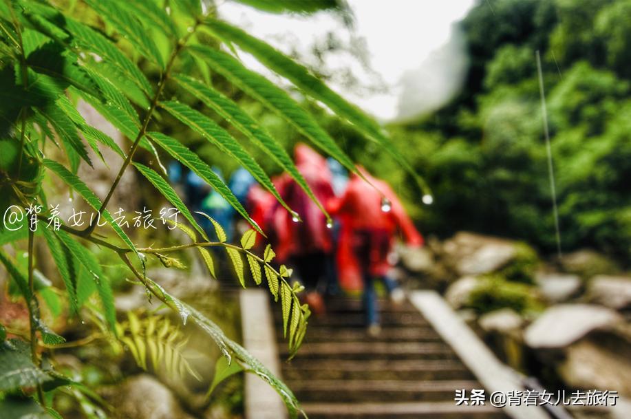 河南最美清洁工,尧山清洁工