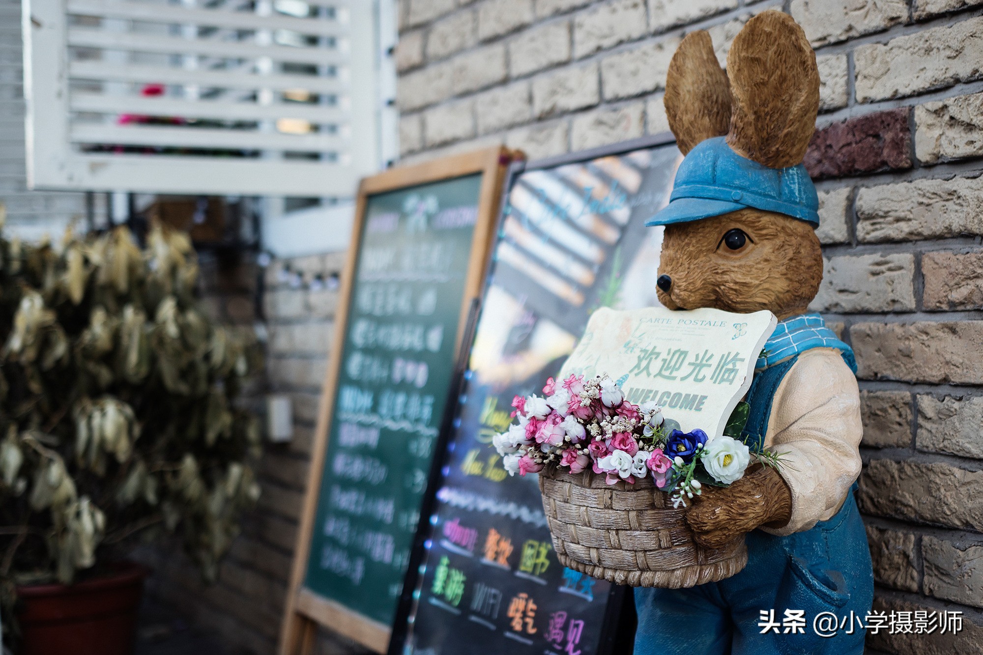 适马24mm1.8单反镜头,适马大光圈定价