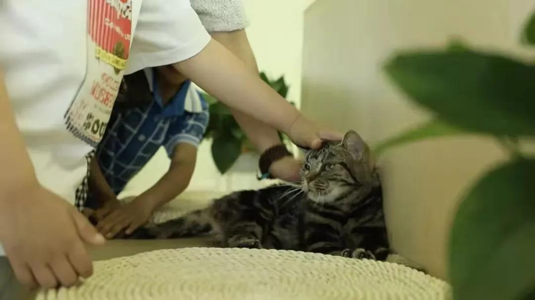 宠物生活馆盘点,北京人气宠物乐园推荐