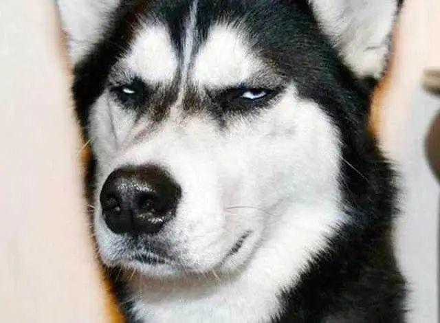 你老公会偷用你的化妆品吗?网友的回复炸天了!哈哈哈