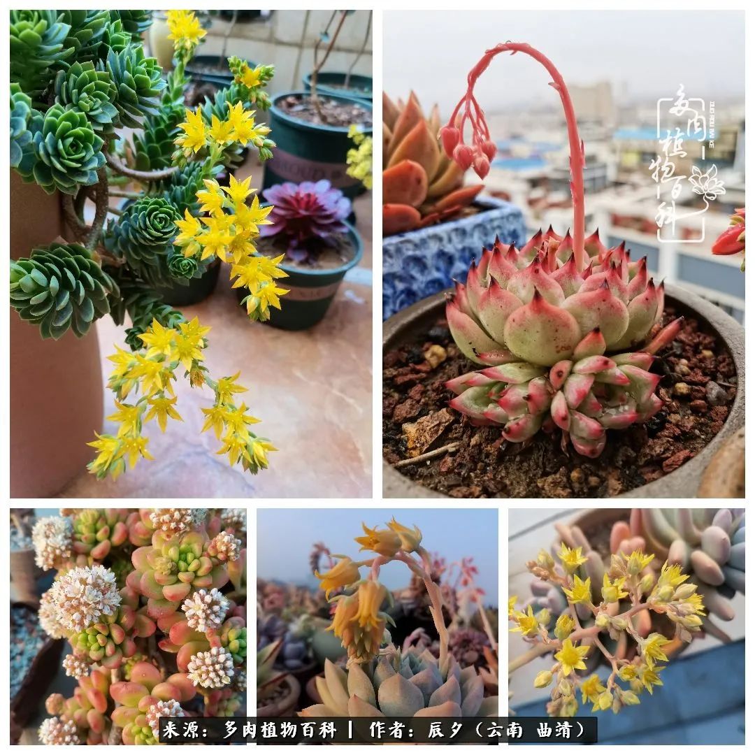 缂辩换鏃栨棊钁宠暏鐢熼,缂辩换鏃栨棊钁宠暏鐢熼鍑哄