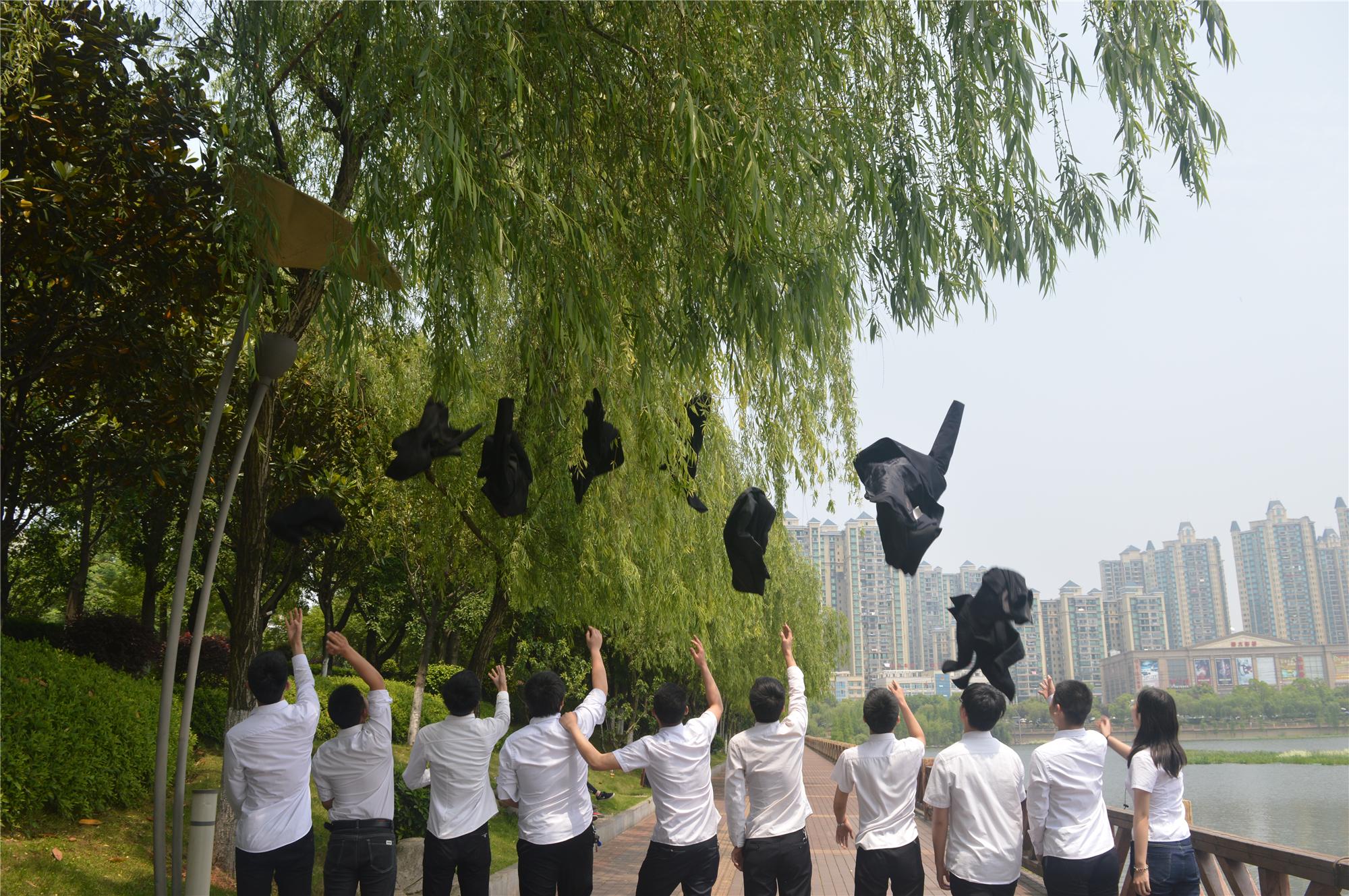 岳阳北大青鸟职业学校,岳阳云溪北大青鸟
