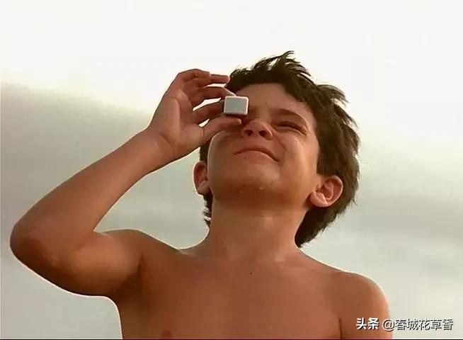 中央车站朵拉,朵拉为什么要见梅子