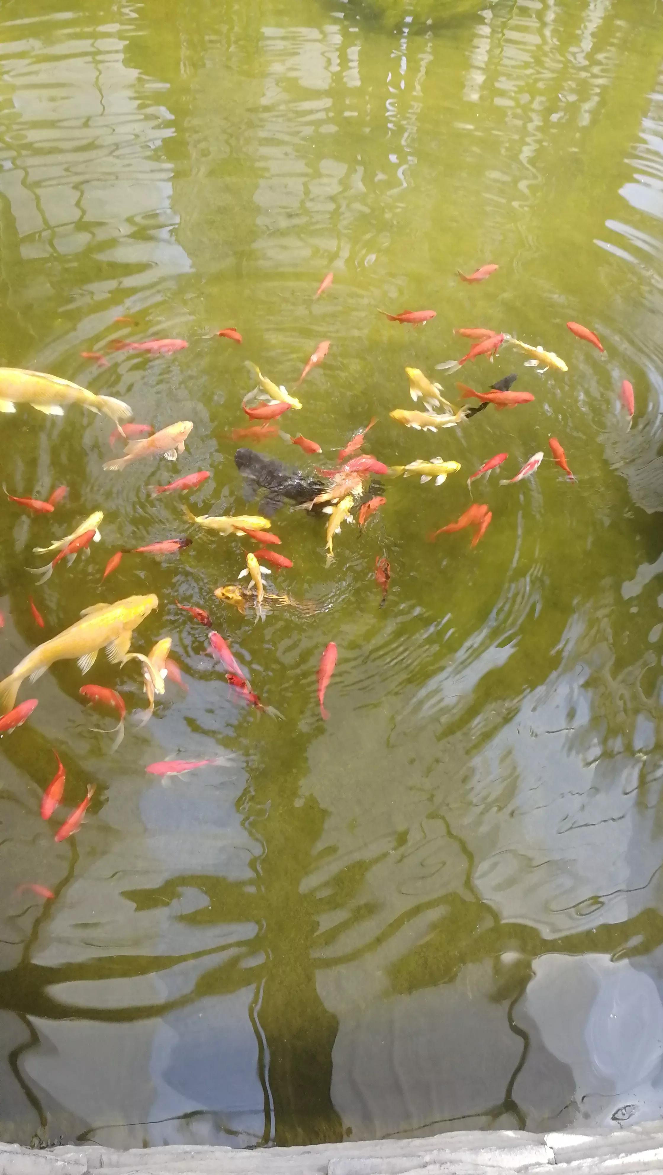 九天休闲谷现在去热吗,九天休闲谷完整版