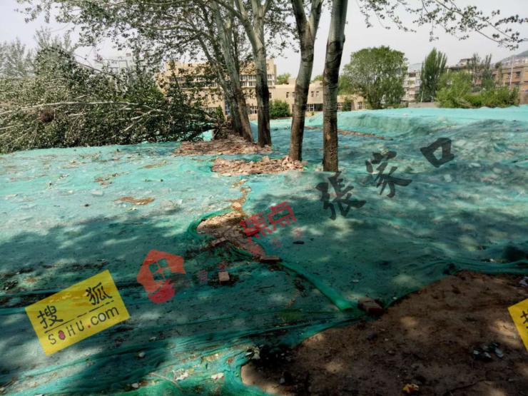 张家口有哪些新学校,张家口旧校区