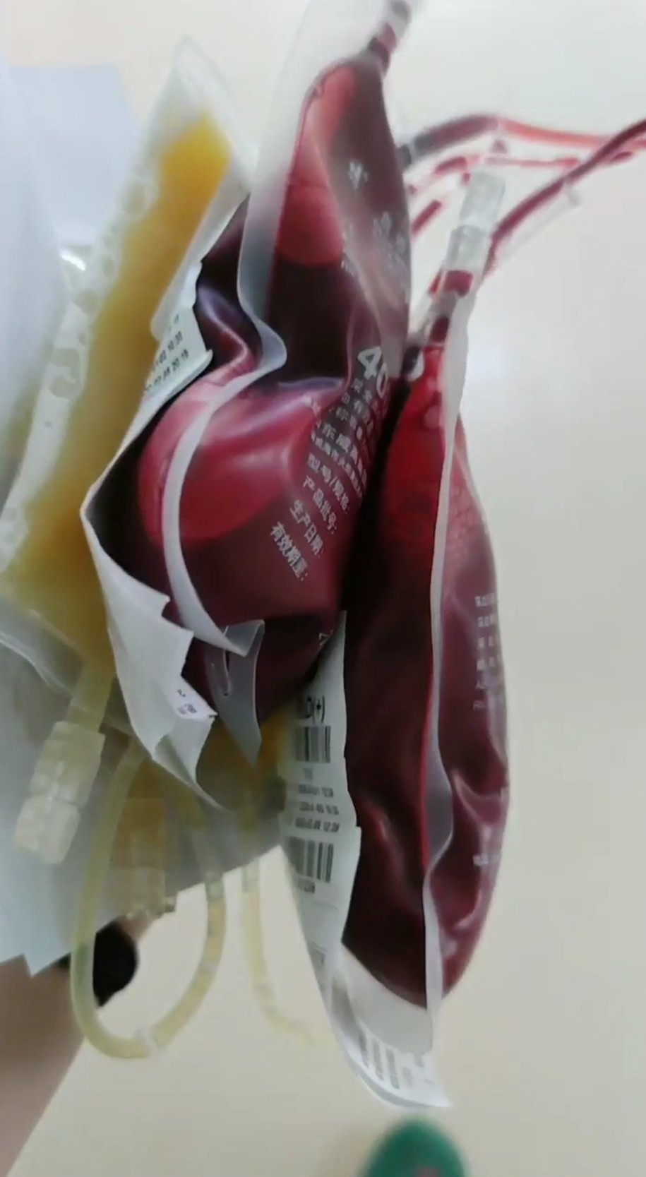 跑偏了的受精卵，竟化身为一颗夺命*弹炸**！