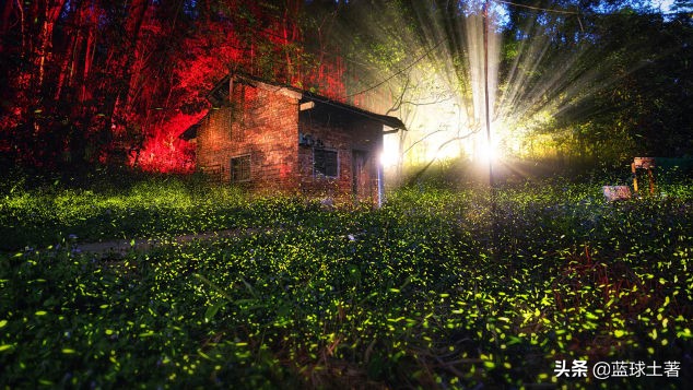 宝岛台湾的什么地方也很有名,宝岛台湾出名的地方