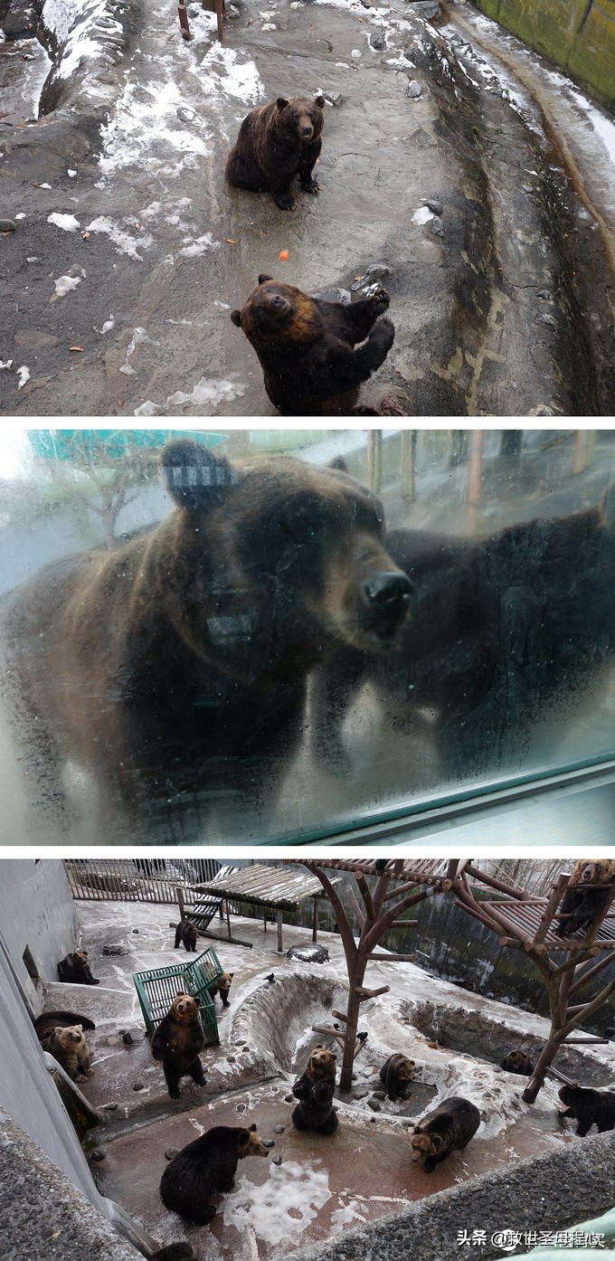 日本旅游工资流水单什么样,日本流水账式旅行