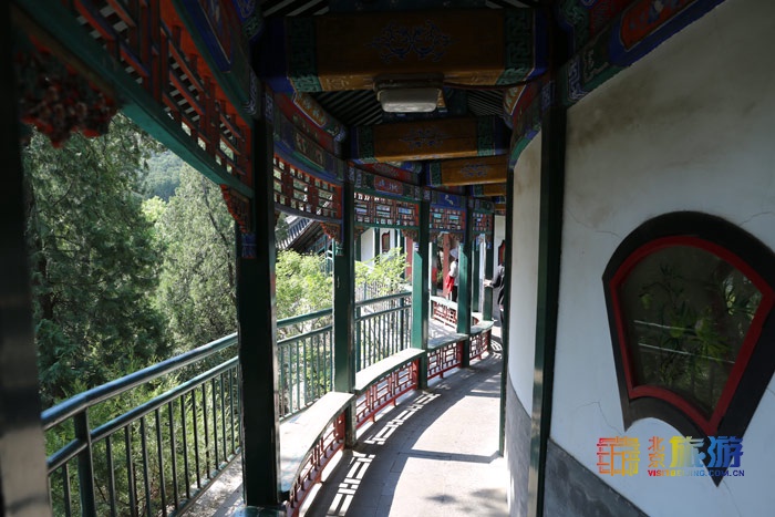 北京旅游网专访香山公园园长齐志坚、研究室主任王柯：“红绿”香山，四季皆景！