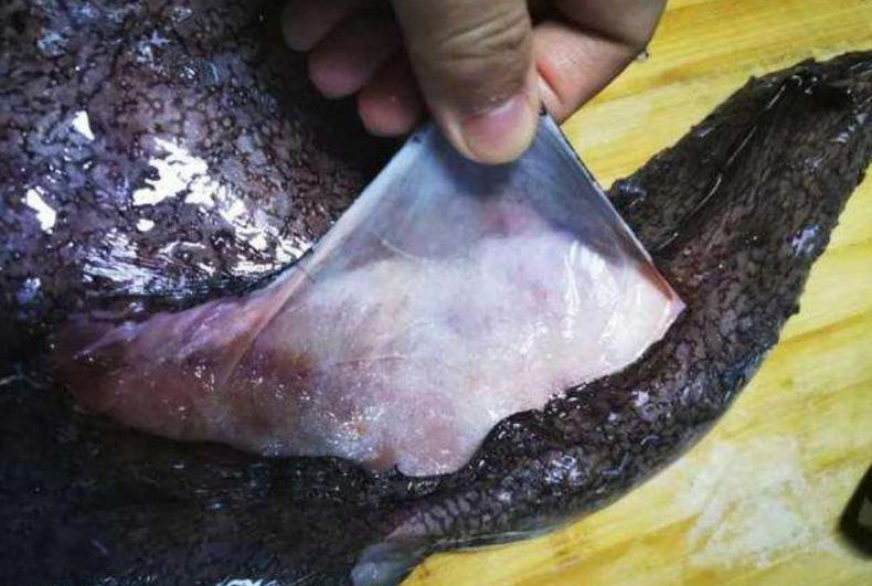 鱼怎么处理才干净又简单,鱼的处理小技巧